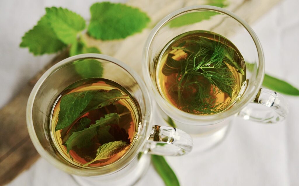 herbal tea, tea, herbs, cups, teacups, drinks, beverages, mint, nature, sage, fennel flavor, healthy, medicinal herbs, peppermint, leaves, tea herbs, herbal plant, glass